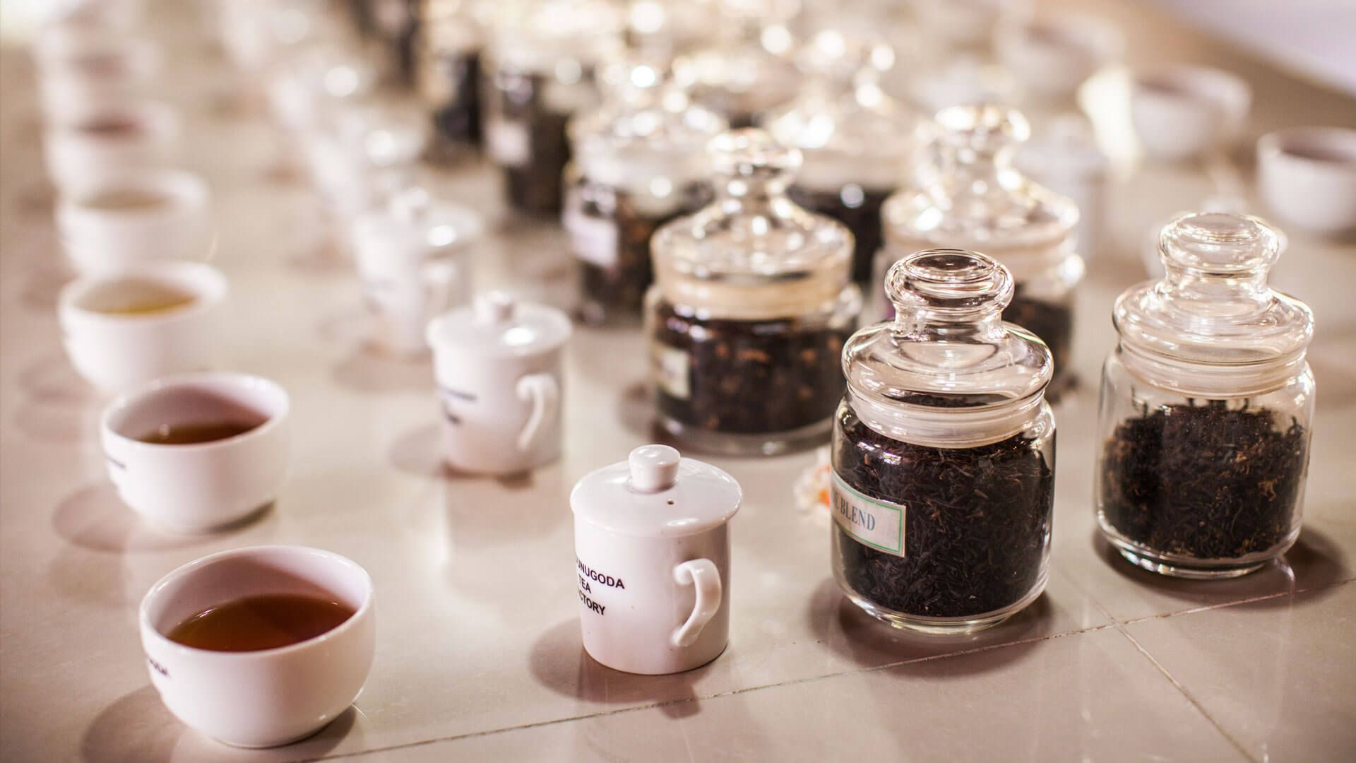 Revisiting the story of Ceylon Tea