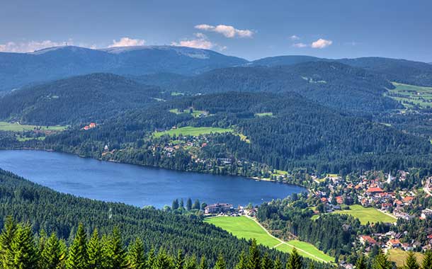 610X380-Black-forest,Germany