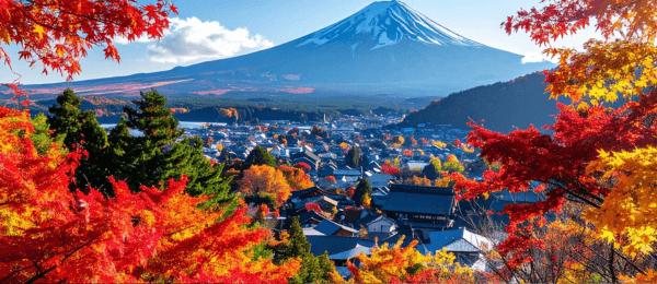 7 Nights in Japan