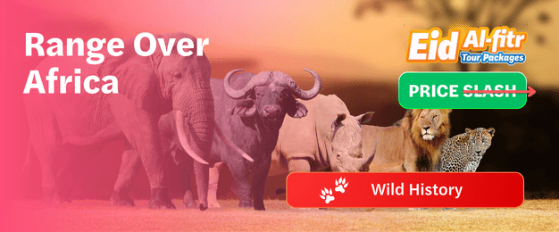 Africa Tour Packages