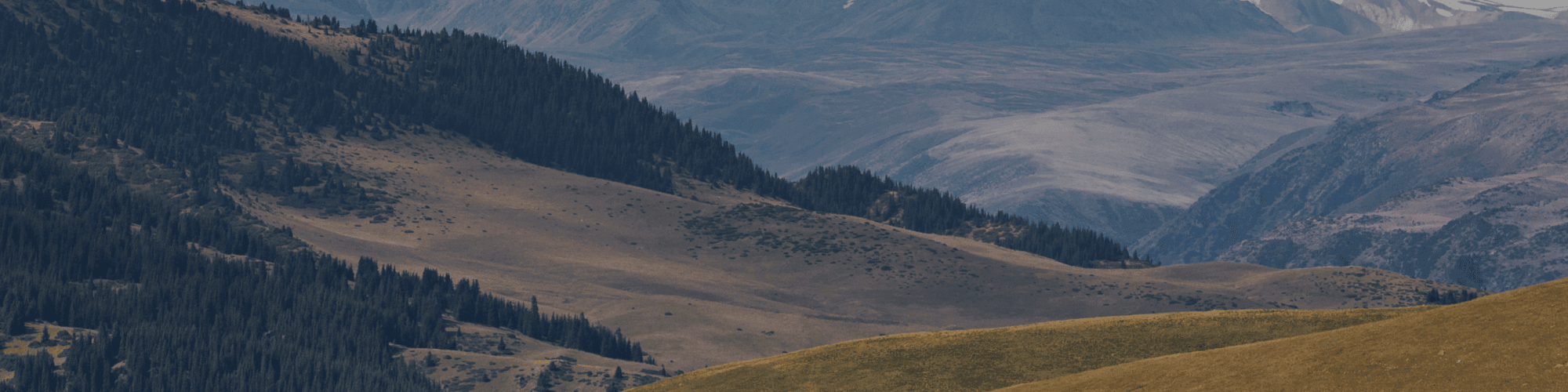 Almaty Eid Al Adha Tour Package 