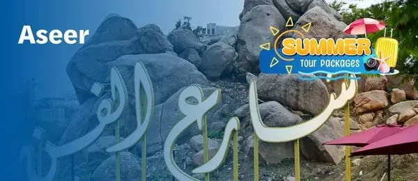 Aseer Tour Package 