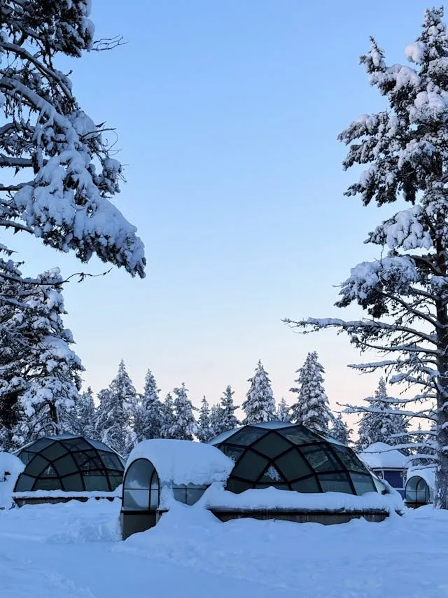 Flight to Ivalo | Transfer to Kakslauttanen | Check in | Planetarium | Aurora Hunting with Reindeer