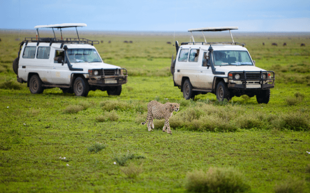 MASAI MARA