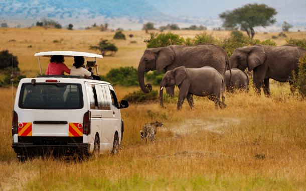 MASAI MARA