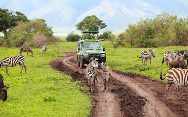 MASAI MARA