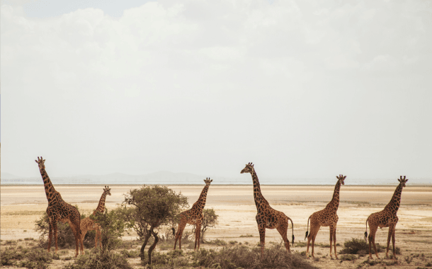 NAIROBI