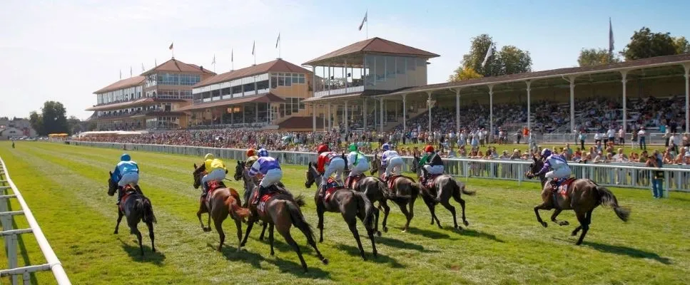 International Horse Races