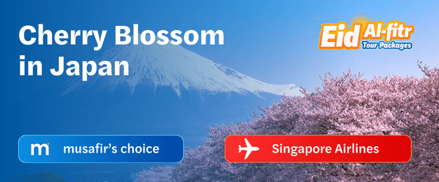 Cherry Blossoms in Japan [Group 2]