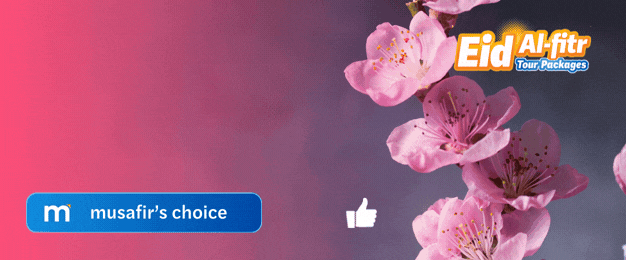  Japan Holiday Packages