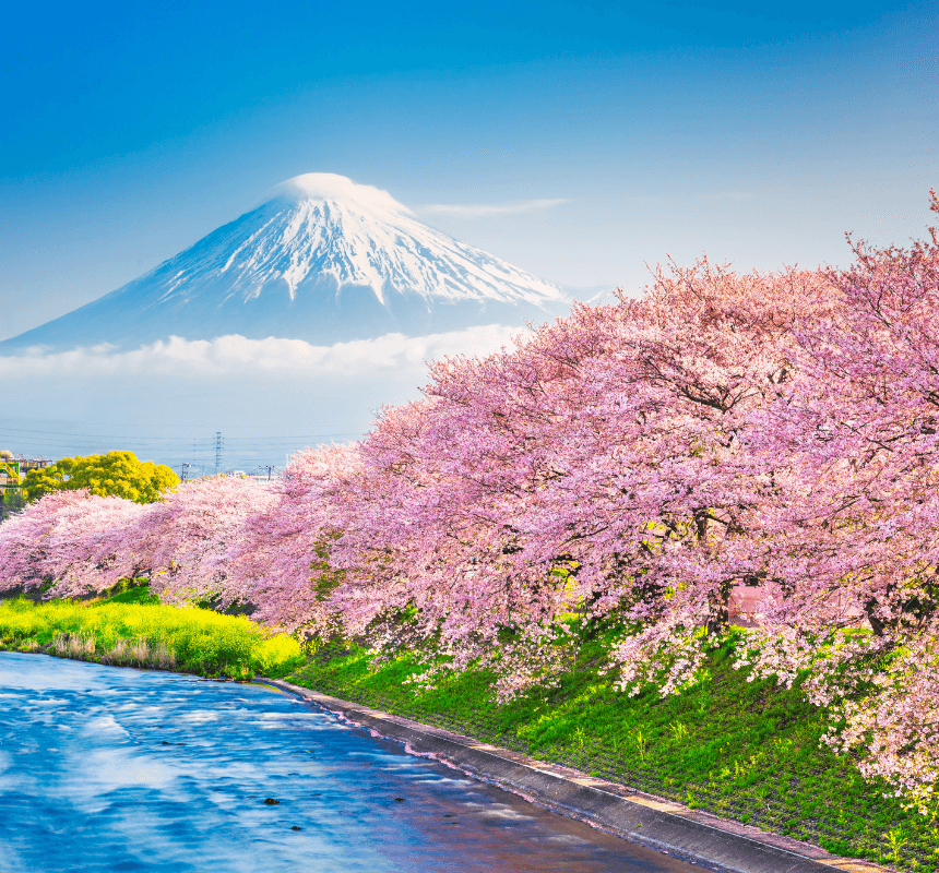 Japan — visa destination