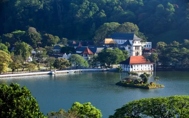 Elephant Orphanage | Kandy City Tour | Evening Cultural Show