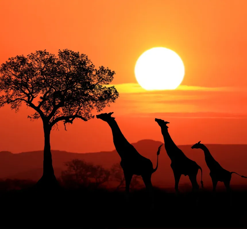 Kenya — visa destination