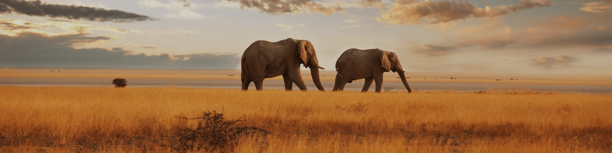 Kenya Tour Package