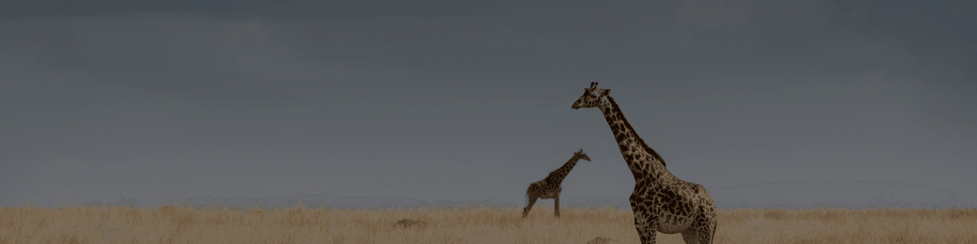 Kenya Tour Package
