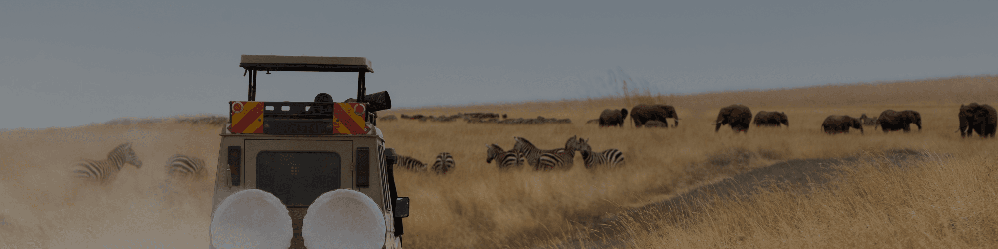 Kenya Tour Package