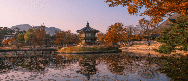 06 Nights in South Korea