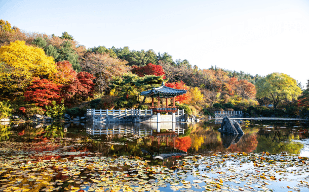 NAMI ISLAND