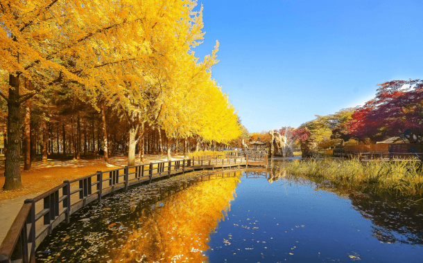 NAMI ISLAND