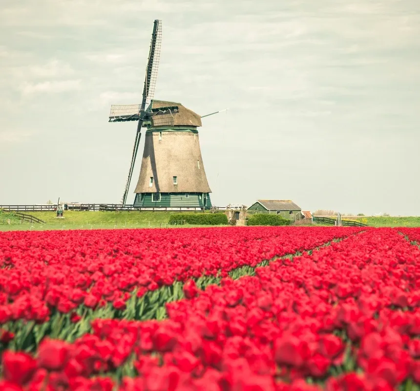 Netherlands — Schengen Area country