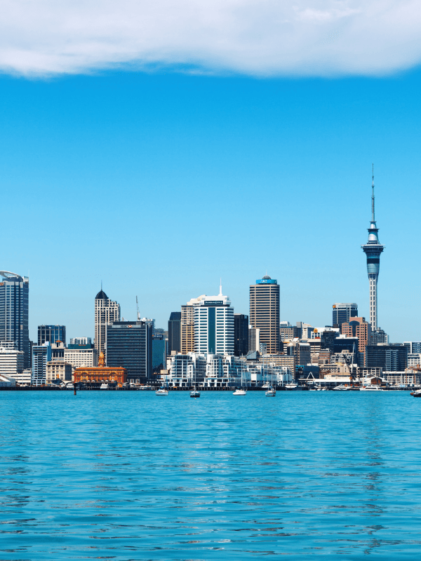New Zealand Visa  visa