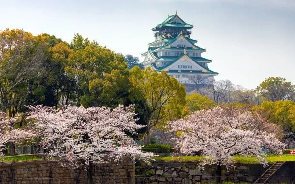 Day 7 - Osaka: Day at Leisure