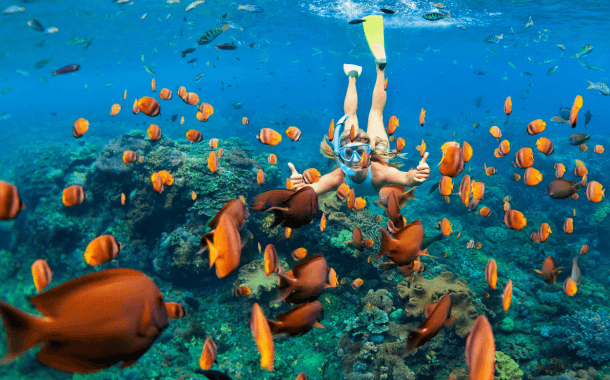 RED SEA