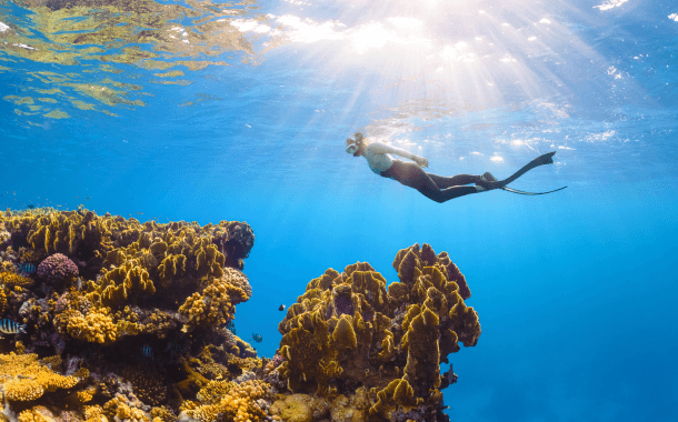 RED SEA
