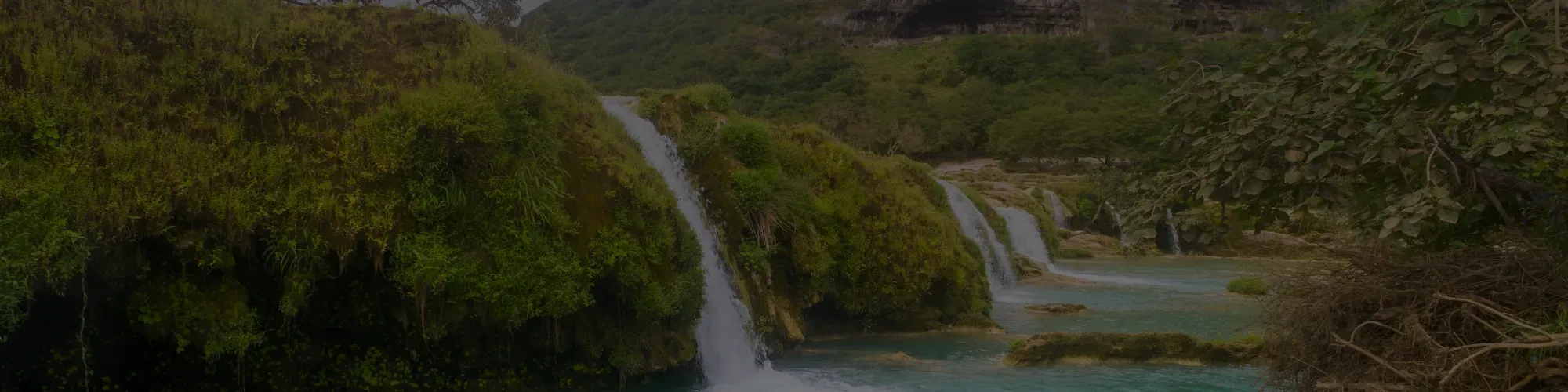 Salalah Tour Package