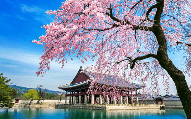 SEOUL CITY TOUR