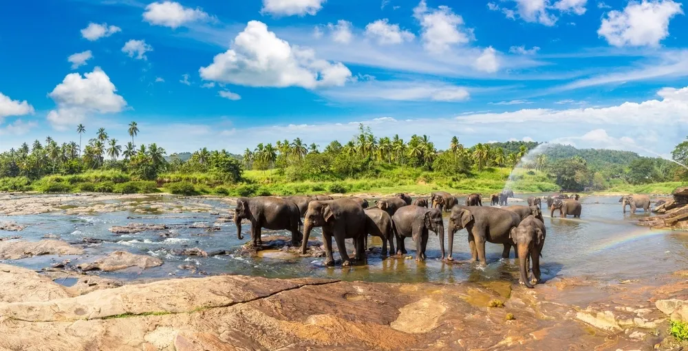 Sri Lanka