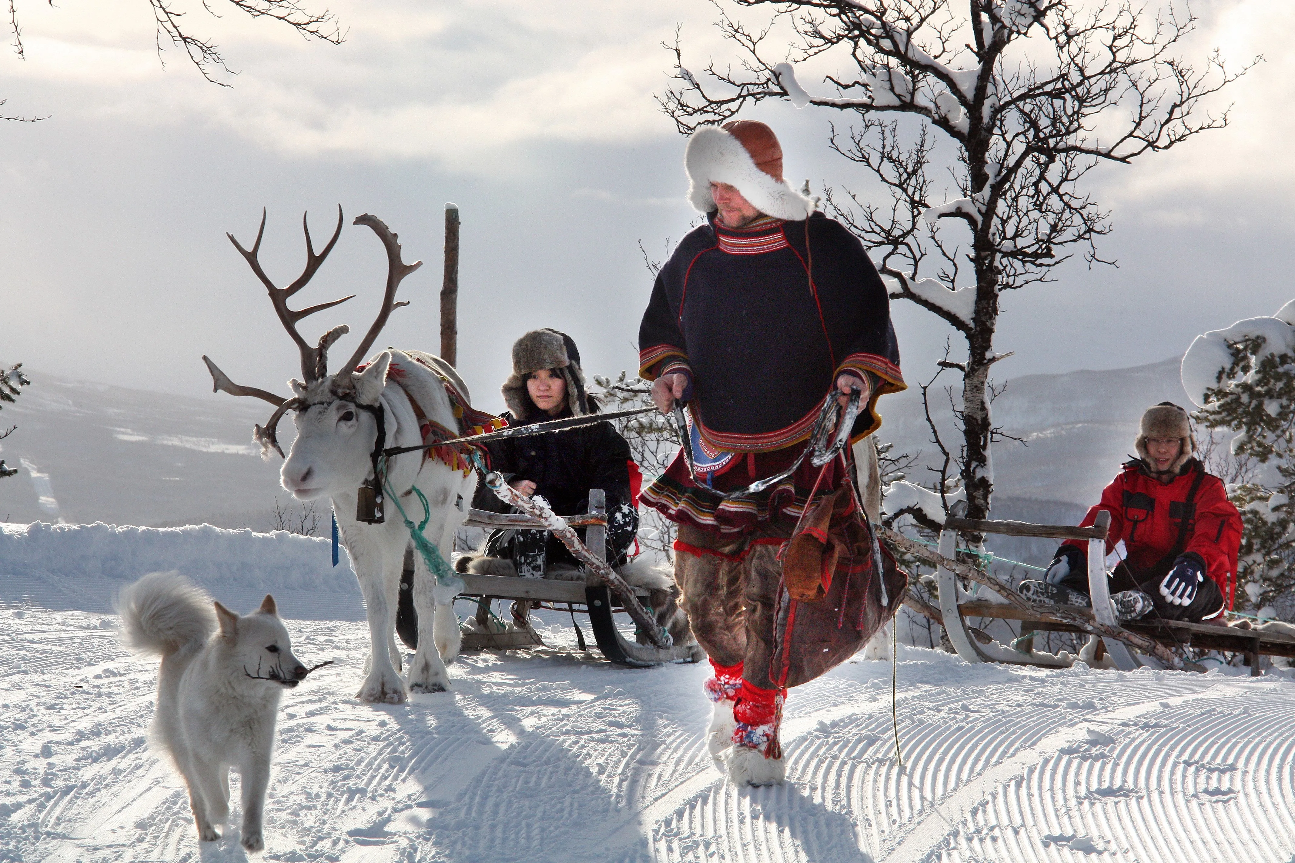 Flight to Murmansk | Saami Village | Check-in | Northern Light Hunt