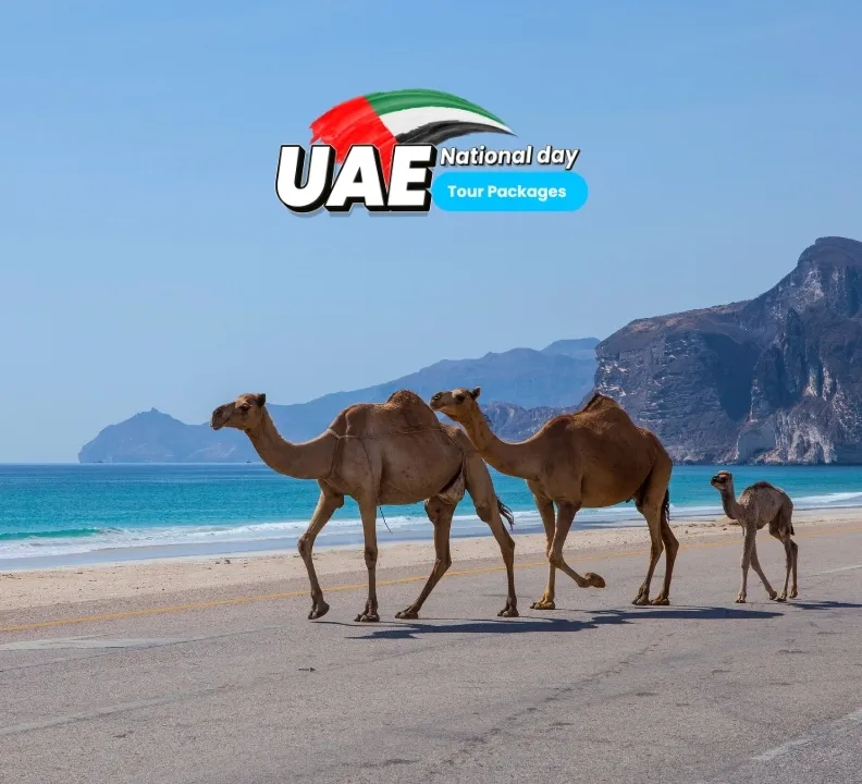 Salalah by Bus