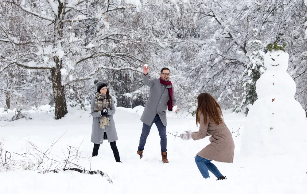 Optional Snow Activities | Transfer to Tbilisi | Check in