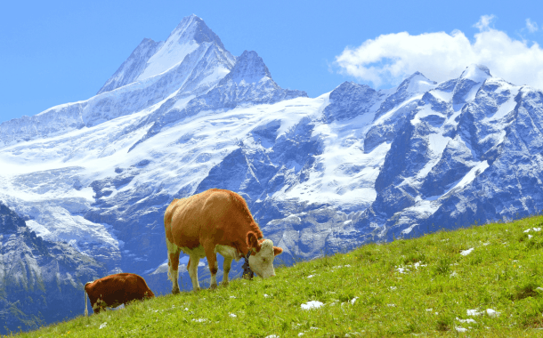 Switzerland