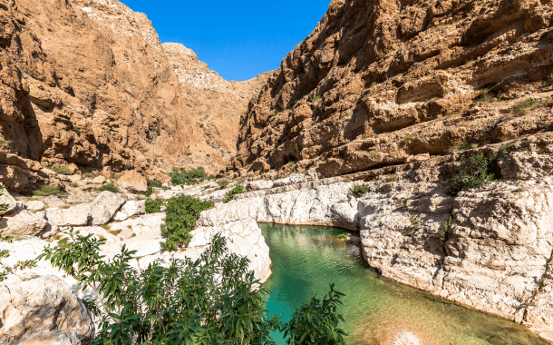 MUSCAT