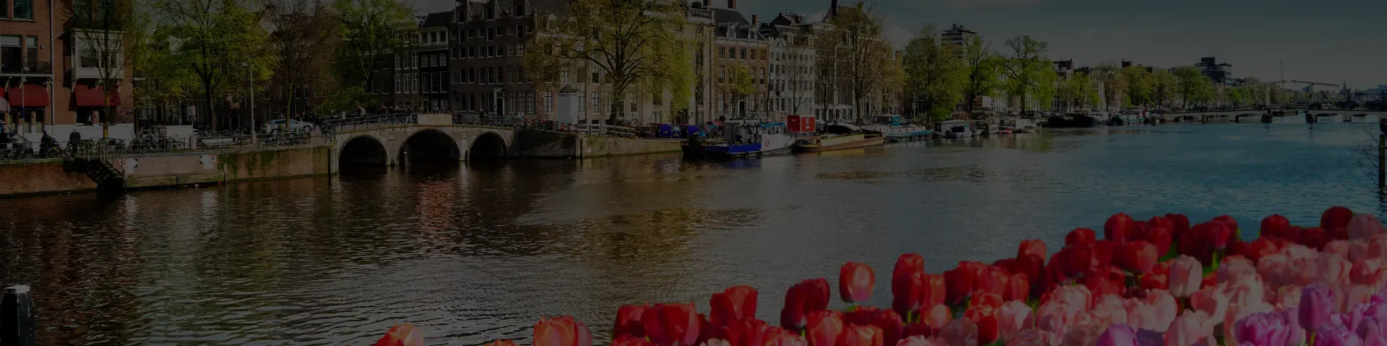 Paris, Amsterdam & Switzerland
