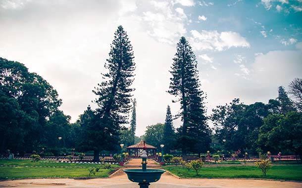 Bangalore City View