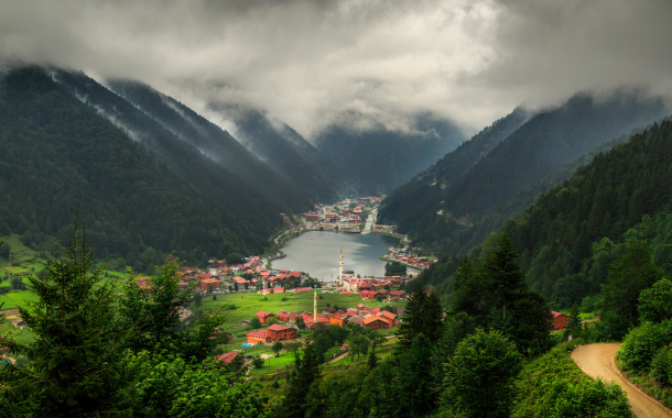 Black Forest