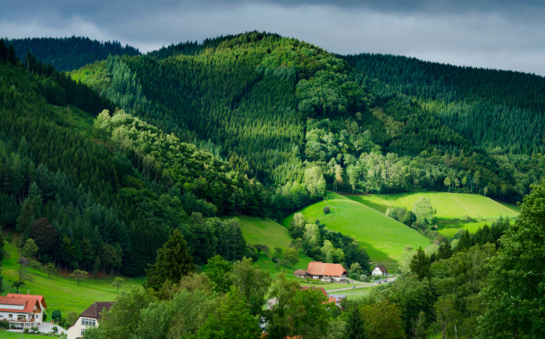 Black Forest