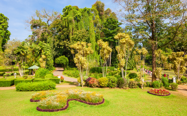 Botanical garden in Sri Lanka