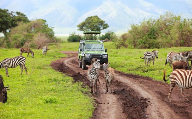 Game Drive 