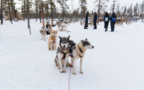 Husky Park