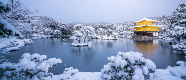 5 Nights Japan Tour Package