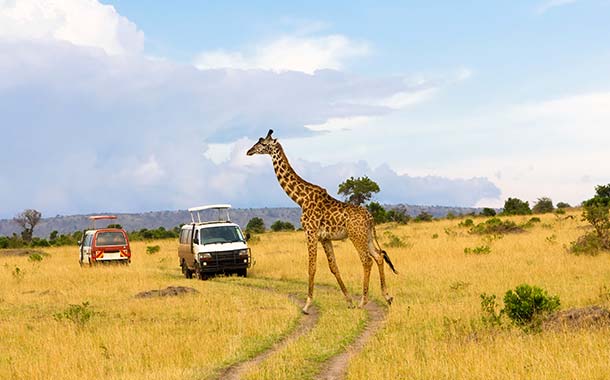 KenyaSafari