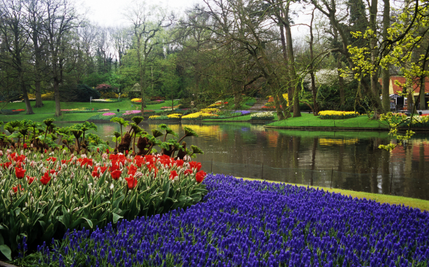 Keukenhof