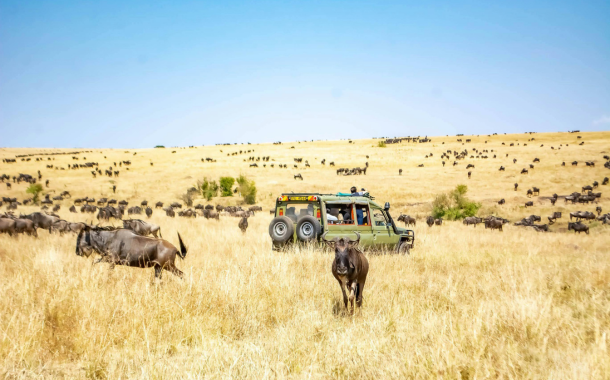Maasai Mara 