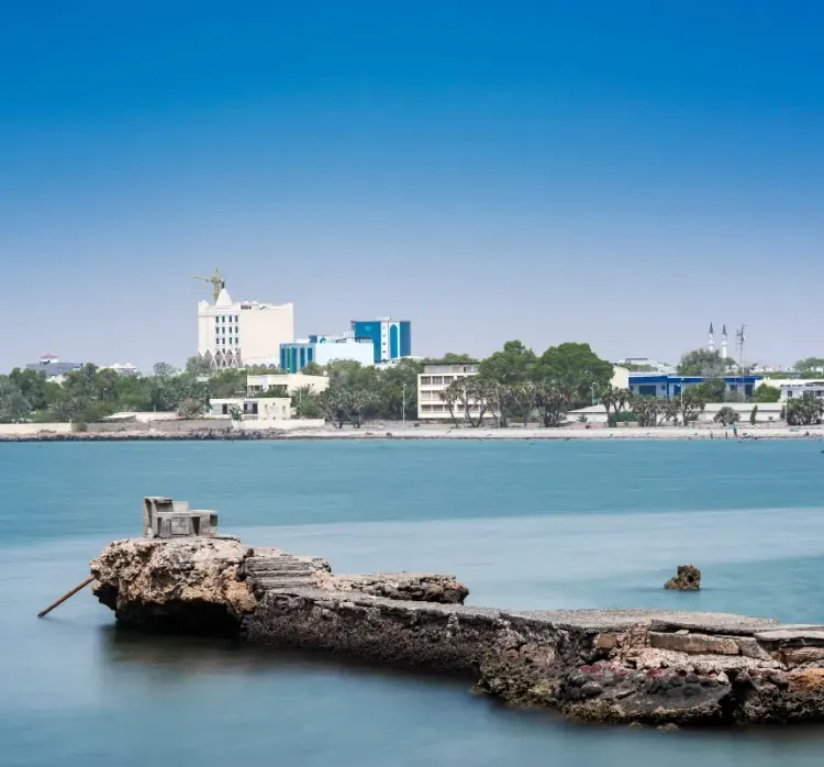 Djibouti e — visa destination
