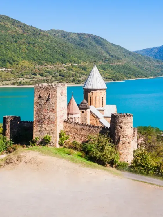 Georgia e — visa destination