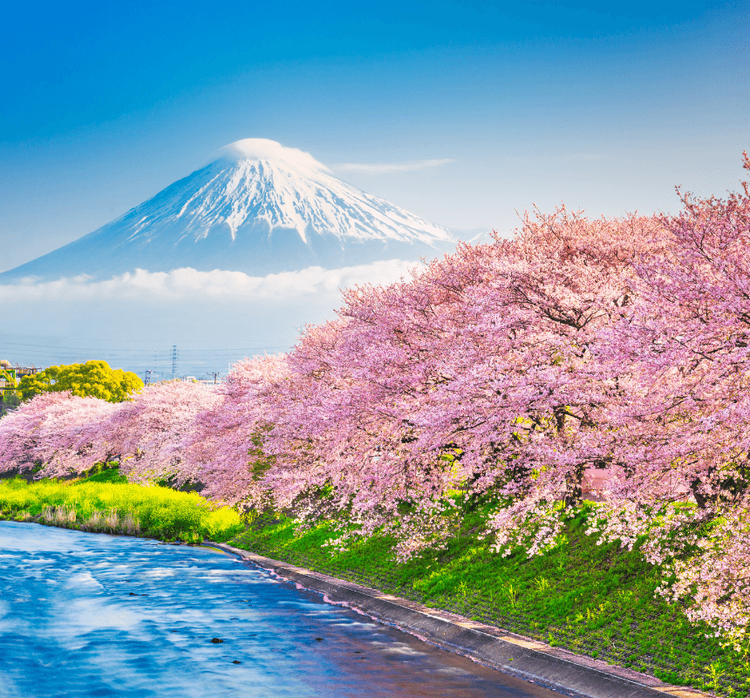 Japan — visa destination